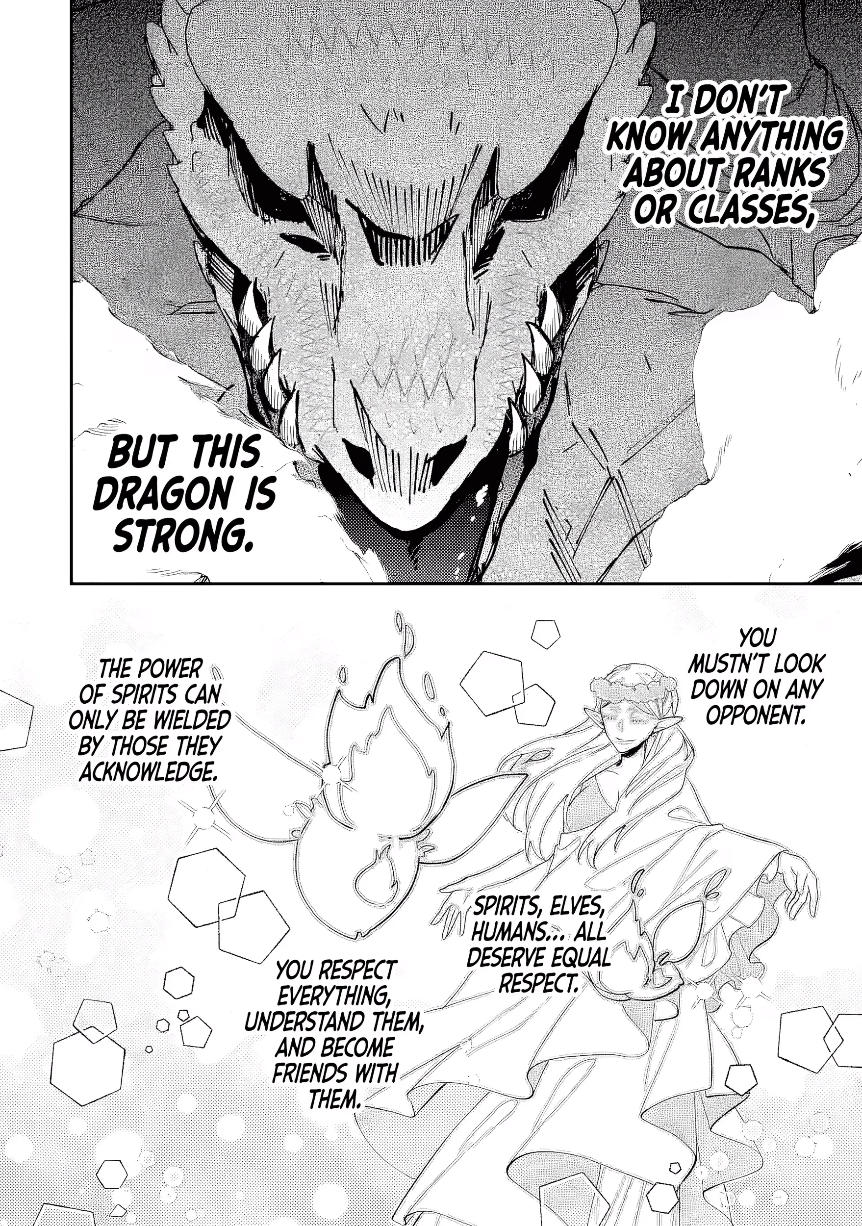 Raised by Elves, I Became Humanity's Only Spirit Mage ~ the Naive Strongest Adventurer Dominates Human Society Without Even Realizing It ~ Chapter 2 Page 17