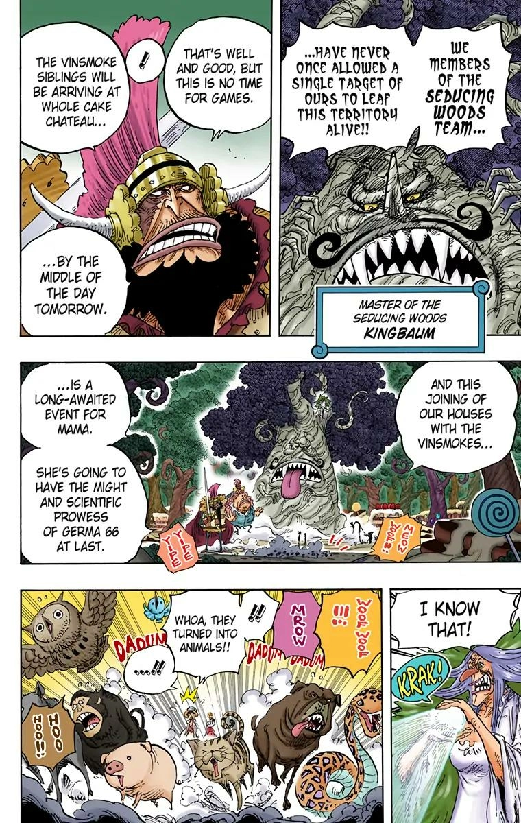 One Piece (Official Colored) Chapter 836 Page 8