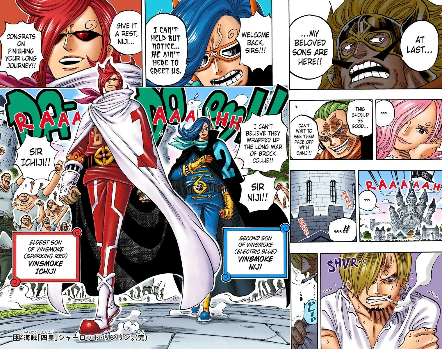 One Piece (Official Colored) Chapter 838 Page 14