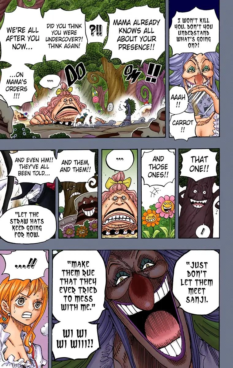 One Piece (Official Colored) Chapter 835 Page 11