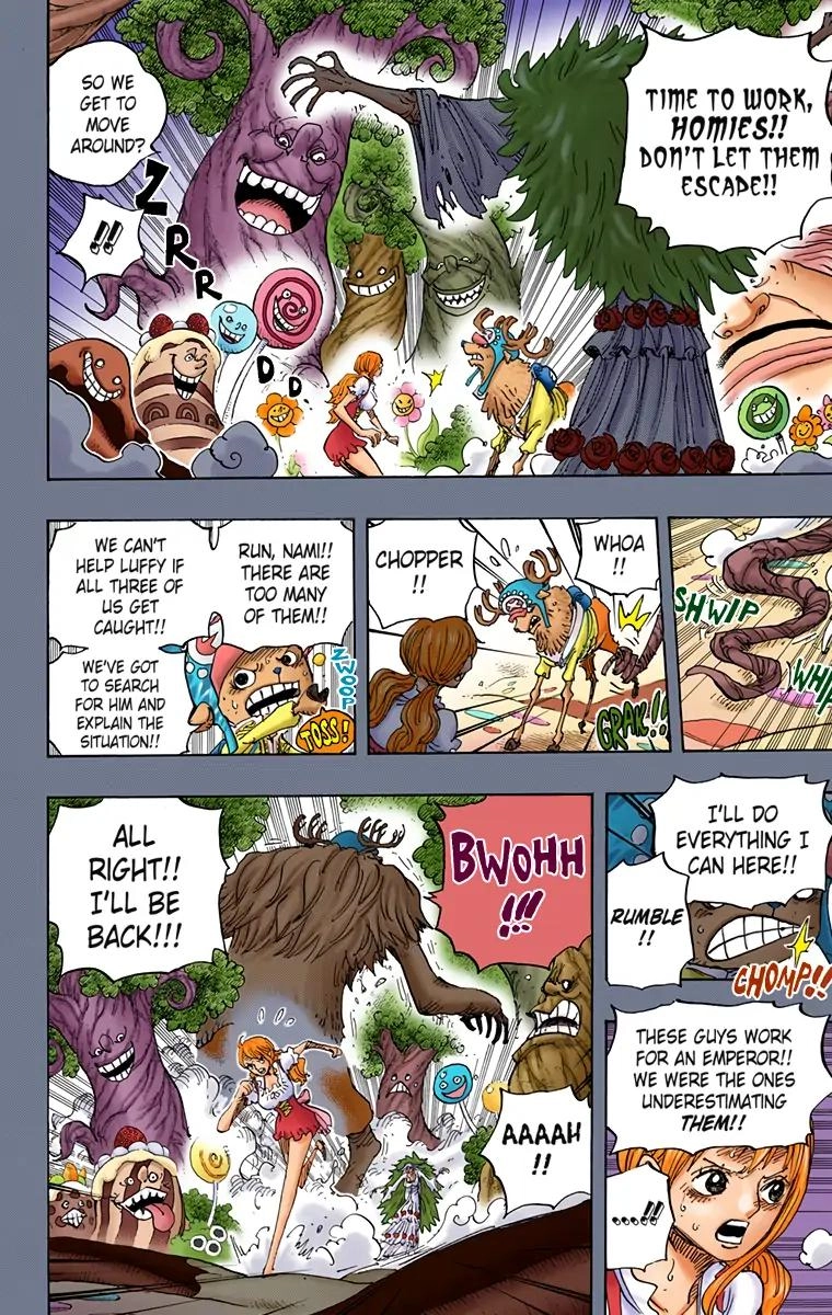 One Piece (Official Colored) Chapter 835 Page 12