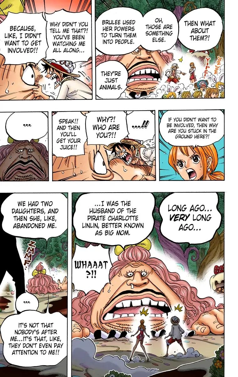 One Piece (Official Colored) Chapter 835 Page 17